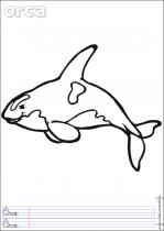 coloriage-orque-1